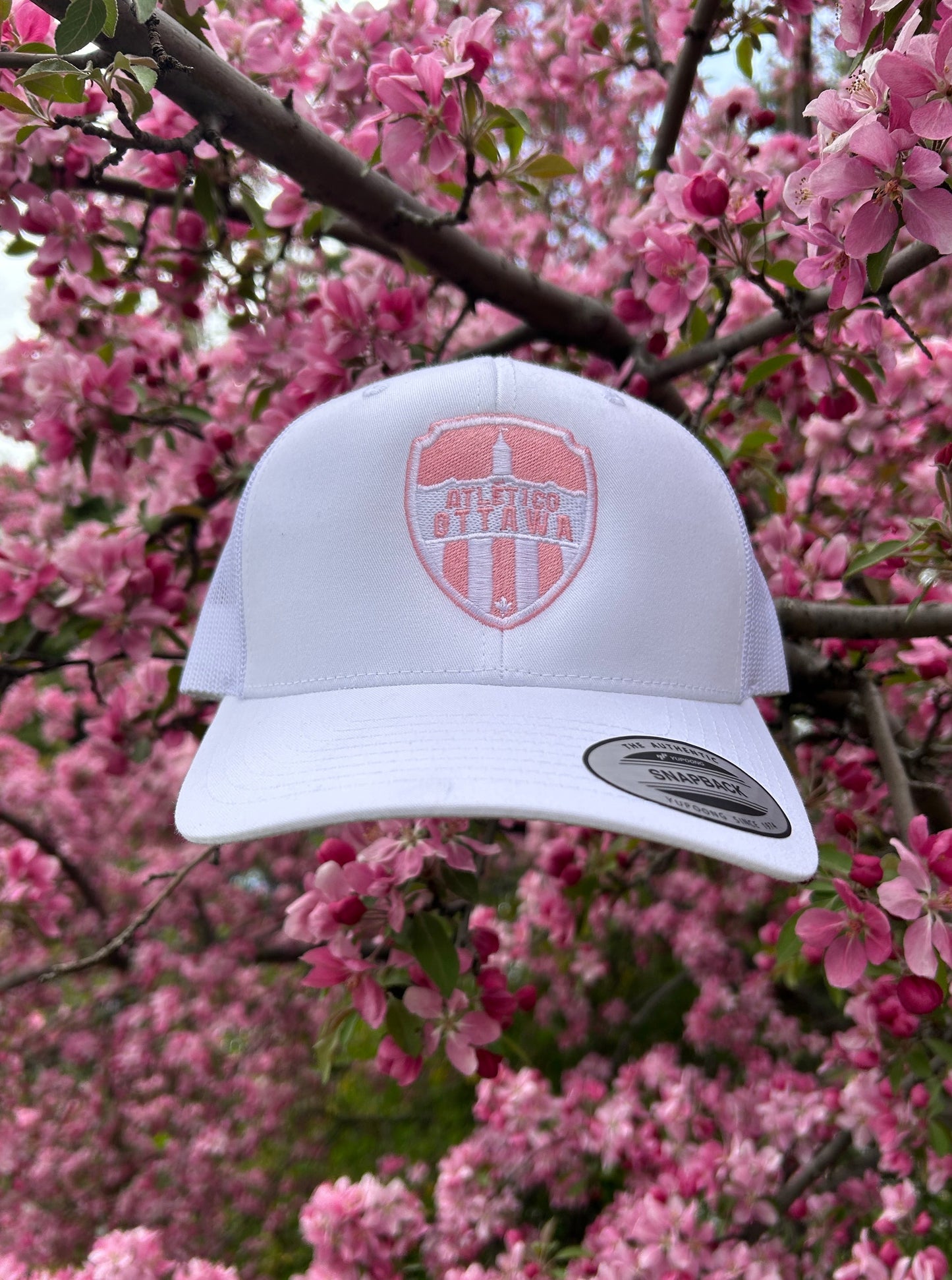 AO Pink Edition Mesh Back Hat